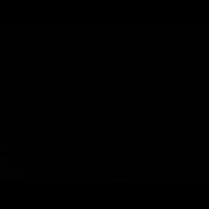 Meet your Posher, Avery